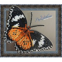 Набор для вышивки бисером бабочки «Цитозия Библс»